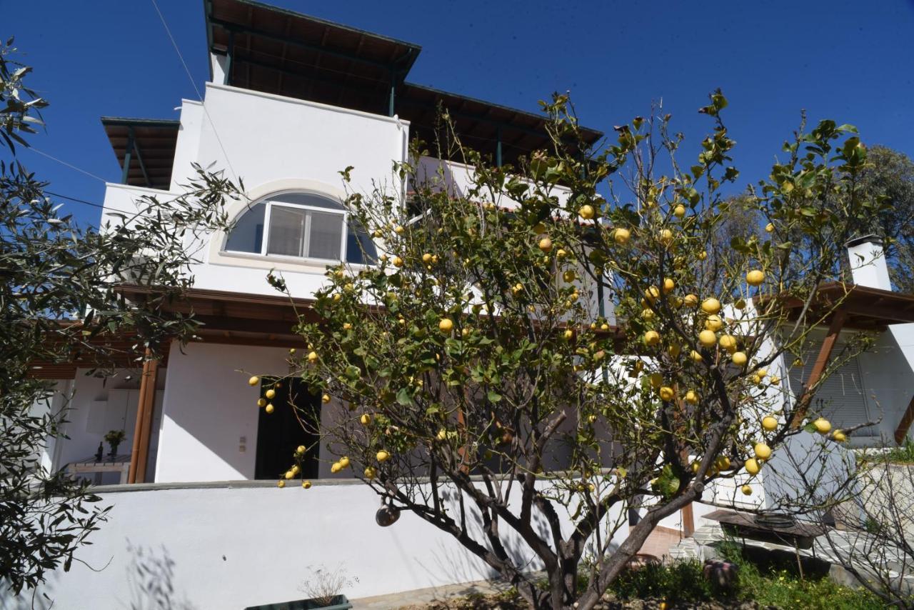 Bernie House Mélanes Exterior foto